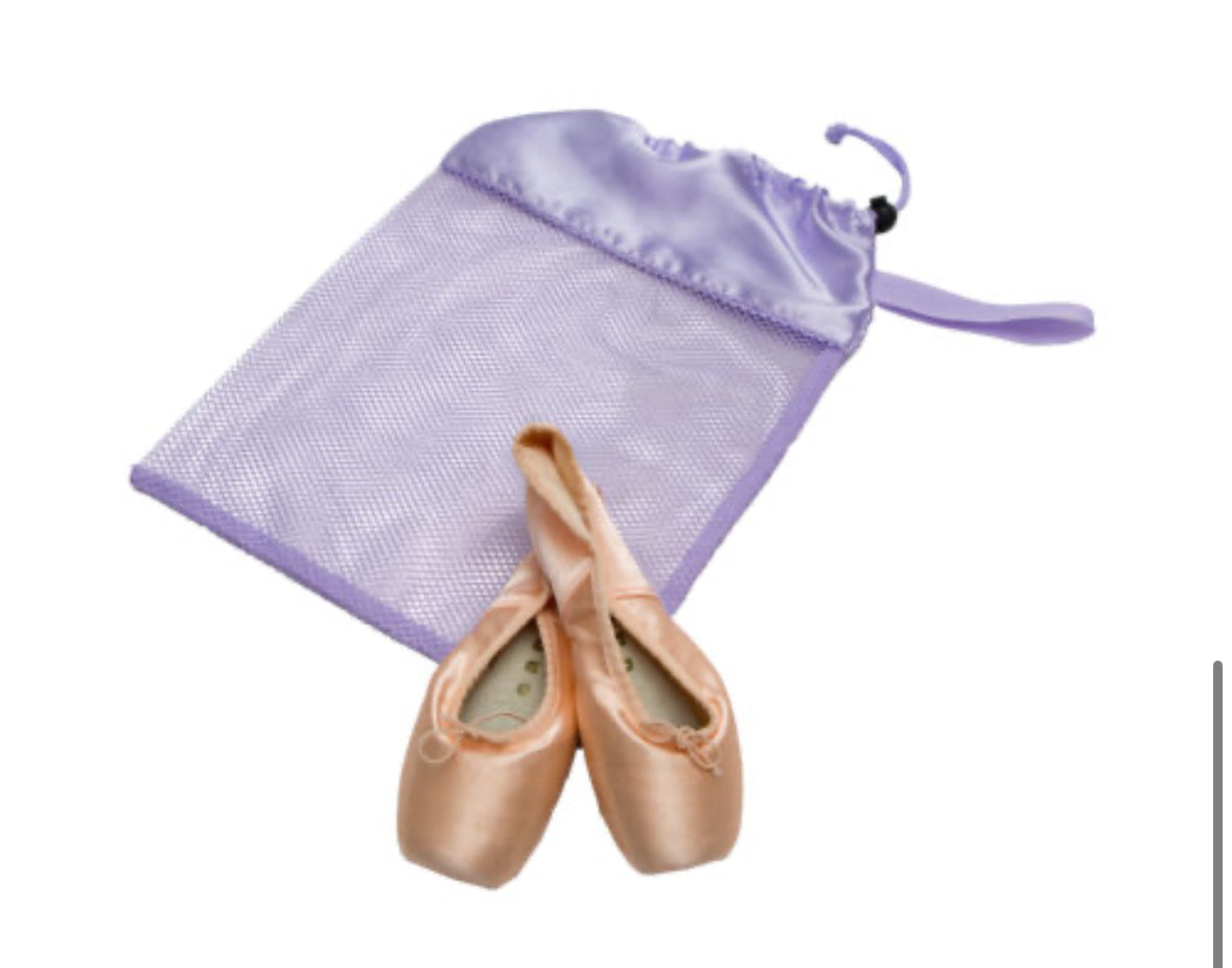 Horizon Dance Mesh Shoe Bag