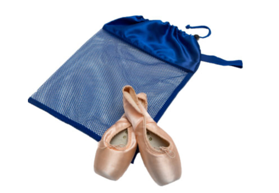 Horizon Dance Mesh Shoe Bag