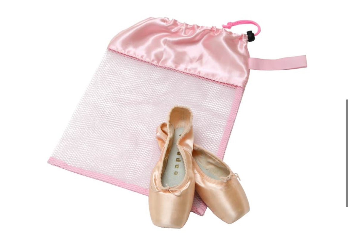 Horizon Dance Mesh Shoe Bag