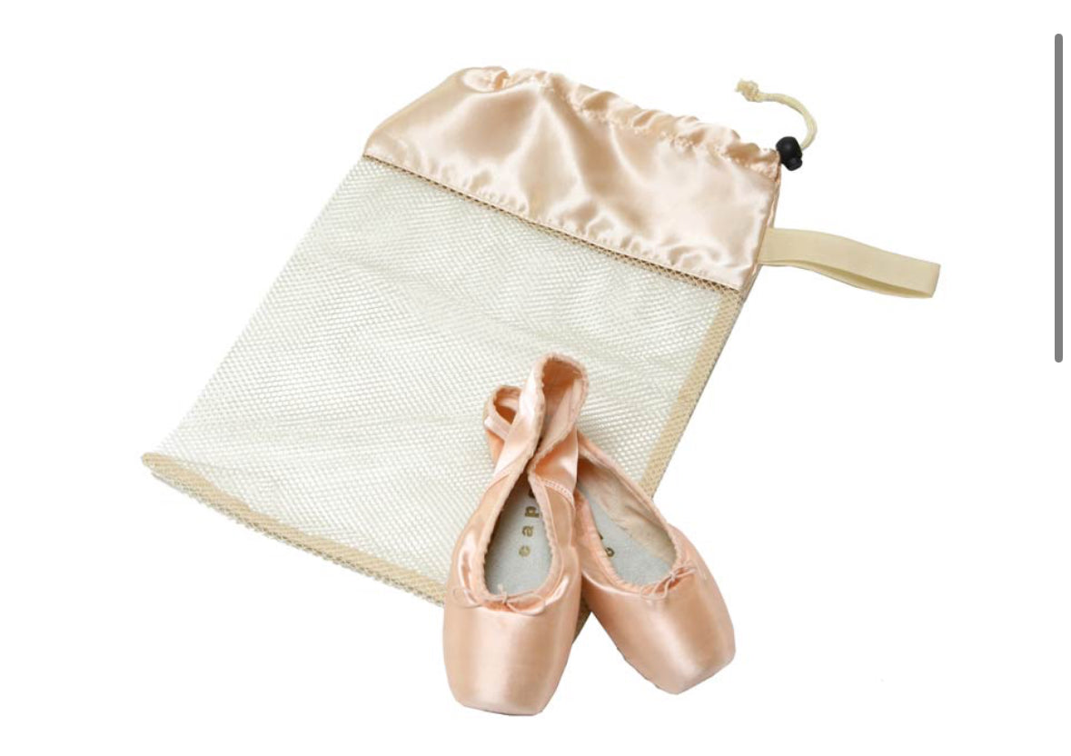 Horizon Dance Mesh Shoe Bag