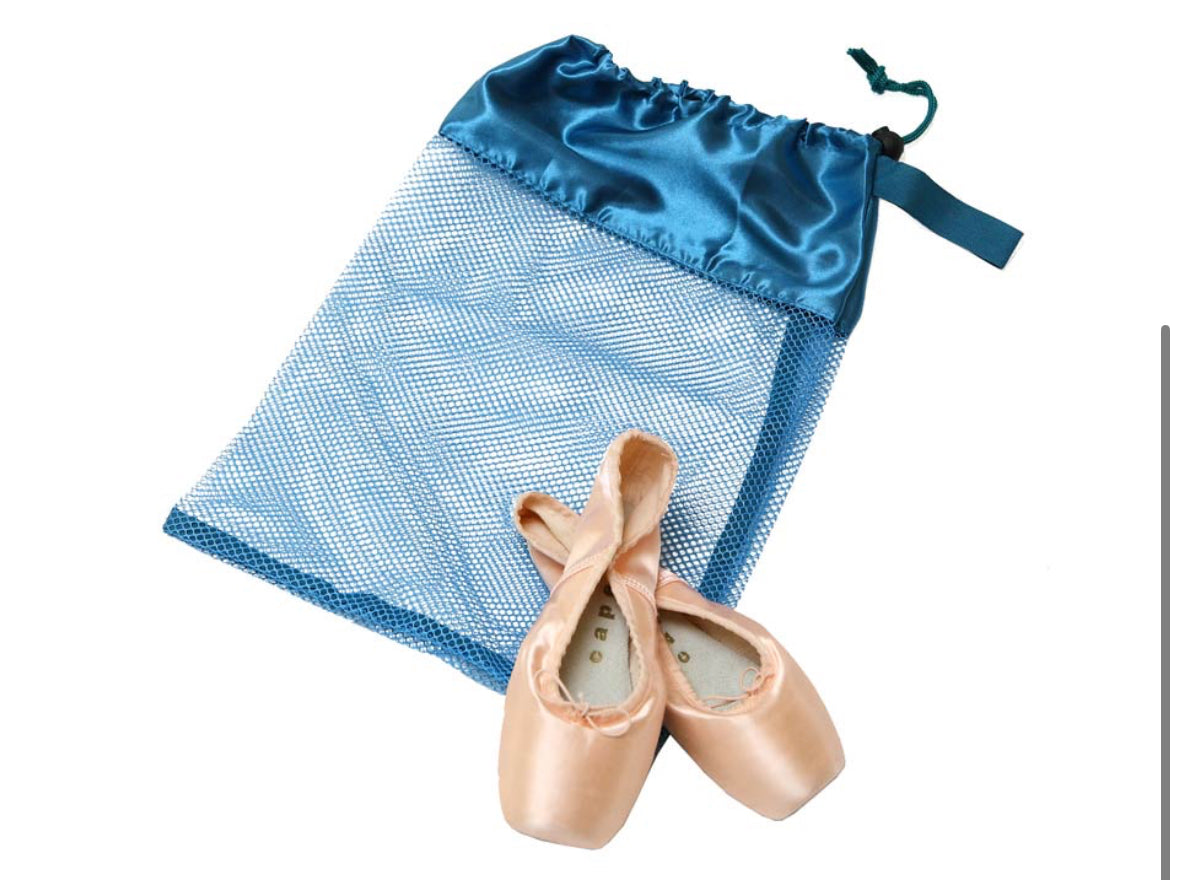 Horizon Dance Mesh Shoe Bag