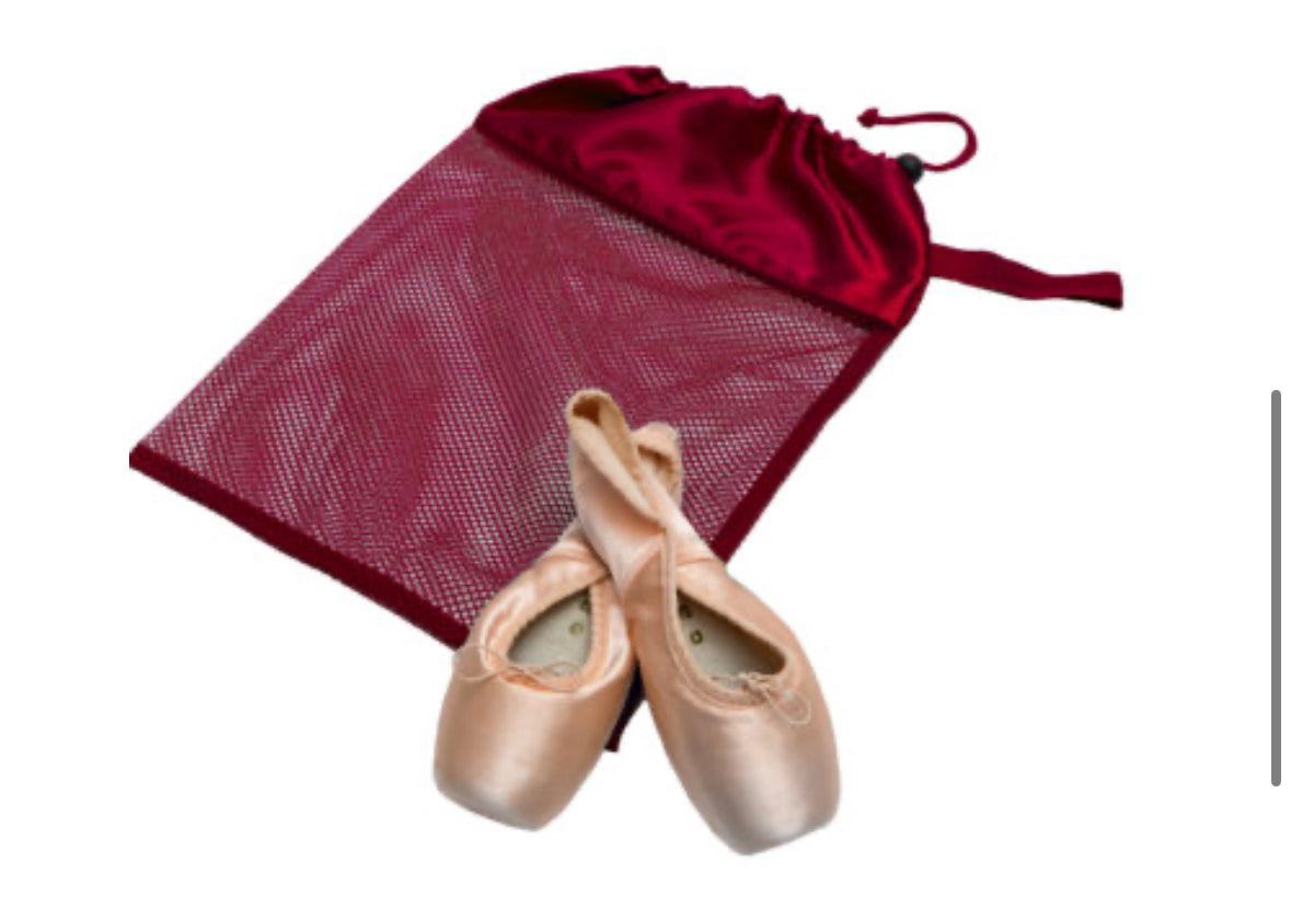 Horizon Dance Mesh Shoe Bag