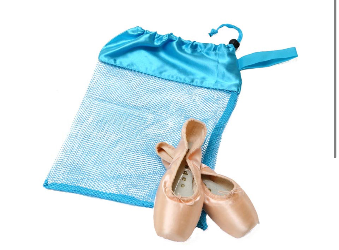 Horizon Dance Mesh Shoe Bag