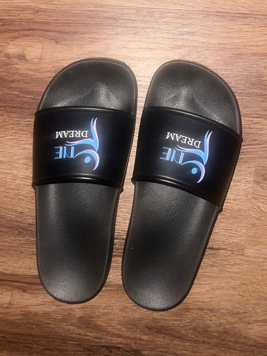 KNE Dream Slides