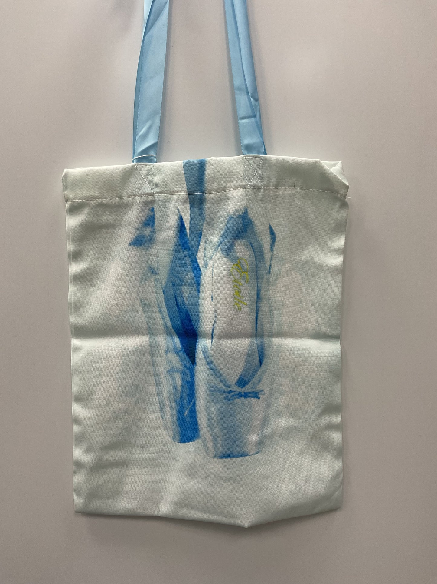 Dasha Designs Blue Pointe Shoe Tote